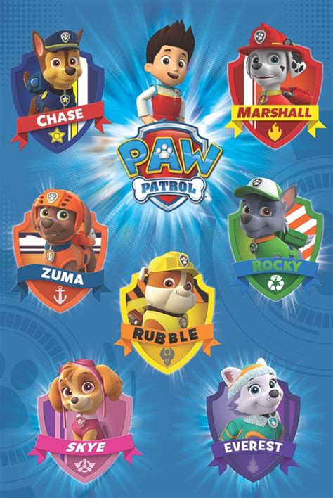 Skye Paw Patrol Wallpapers Top Free Skye Paw Patrol Backgrounds