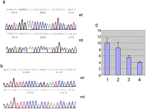 A DNA sequence of NF κB1M demonstrating that the first NF kB binding