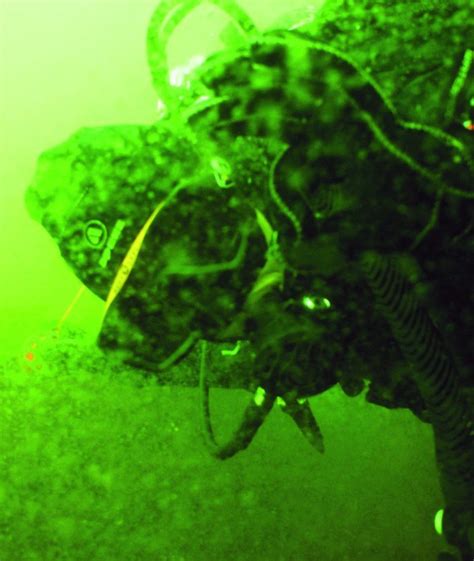 Above 18m Diving Puffin Island