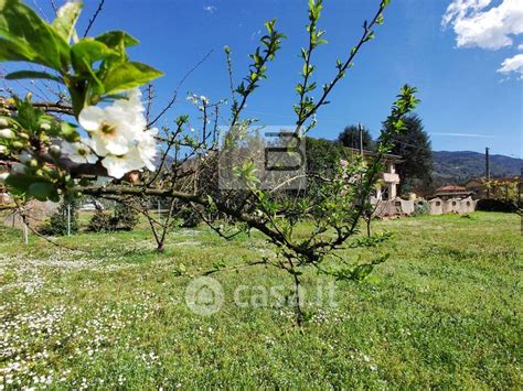 Terreni Edificabili In Vendita A Camaiore In Zona Camaiore Paese Casa It