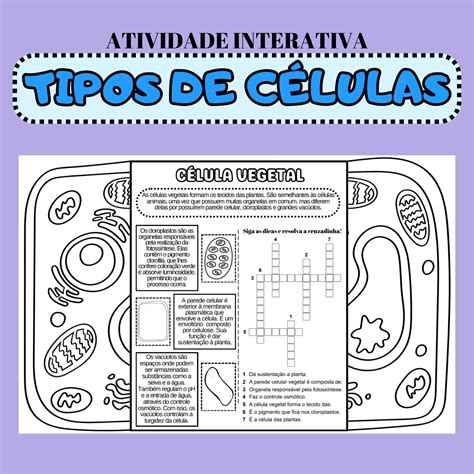 Atividade Sobre Celula 7 Ano - BINKEDU