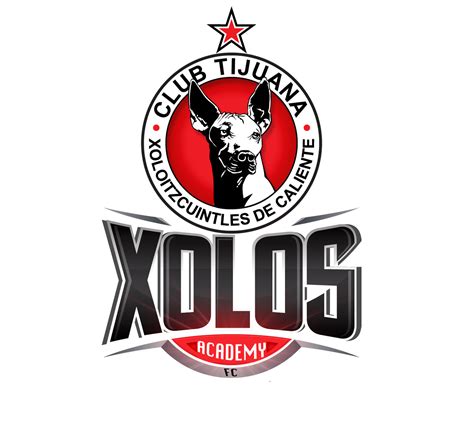 HOME [xolosacademy.com]