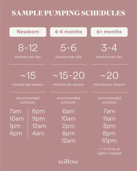 Pumping At Work Schedule How To Manage It Artofit