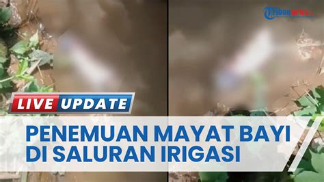 Bikin Geger Mayat Bayi Perempuan Ditemukan Di Saluran Irigasi Kabupaten