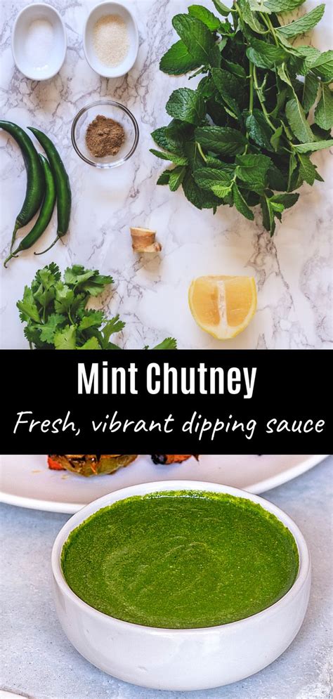 Mint Chutney Recipe Pudina Chutney Spice Up The Curry Recipe