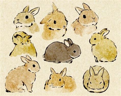 Lovely Lops Bunny Sketches Bunny Art Rabbit Art