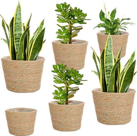 Amazon La Jolíe Muse Seagrass Planter Basket Indoor Flower Pots