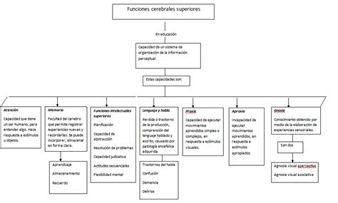 Mapa Conceptual De Las Funciones Cognitivas Porn Sex Picture