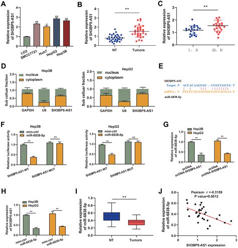 LncRNA SH3BP5 AS1 Promotes Hepatocellular Carcinoma Progression By