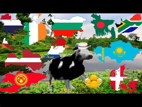 Polish Cow In Different Languages Meme Part Youtube