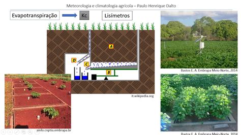 Evapotranspiração Coeficiente da cultura Kc YouTube
