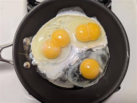 My Eggs Look Like A Diagram Of Mitosis R Mildyinteresting