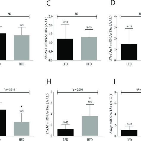 Mrna Expression In The Small Intestine Of Mice Fed A Hfd Mice Fed Download Scientific Diagram