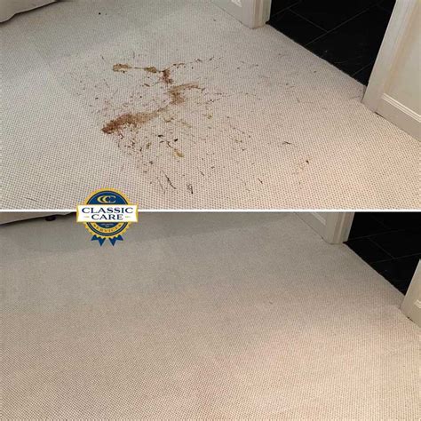 Carpet Cleaning Atlanta Ga Classic Care Services