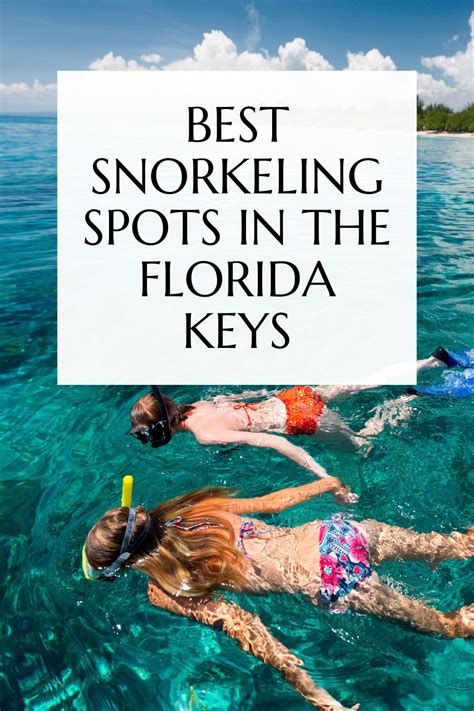 Discover The Best Snorkeling Spots In Florida Keys Busy In Florida