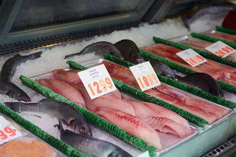 Fish Market