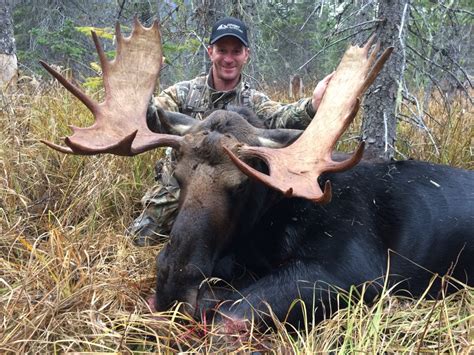 Canadian Moose Hunting, British Columbia | Covert Outfitting