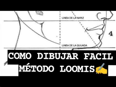 Como Dibujar con el Método Loomis Fácil paso a paso YouTube