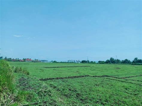 DIJUAL TANAH LANGKA UKURAN KECIL DEKAT PANTAI KAWASAN JEMBRANA