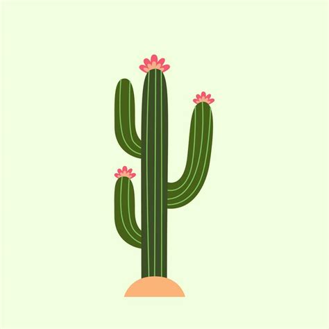 Cactus Vector Illustration Vector Cactus With Flowers Cactus Flat