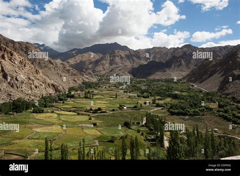 Landscape In Ladakh Stock Photo Alamy