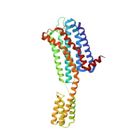 Rcsb Pdb 7dfp Human Dopamine D2 Receptor In Complex With Spiperone