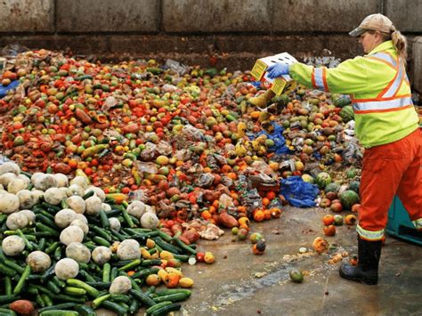 Europa Contra El Desperdicio De Alimentos Diario De Plasencia