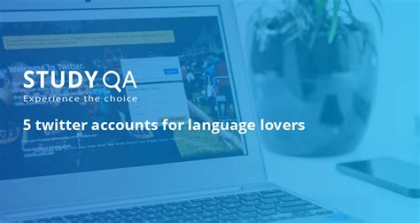 Studyqa — 5 Best Twitter Accounts For Language Lovers