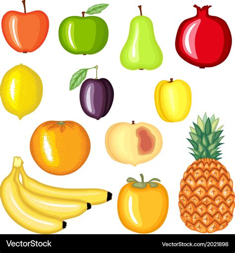 Fruit cartoon Royalty Free Vector Image - VectorStock