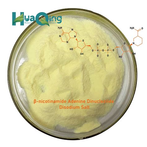 Cas 606 68 8 Nicotinamide Adenine Dinucleotide Nadh Powder Buy