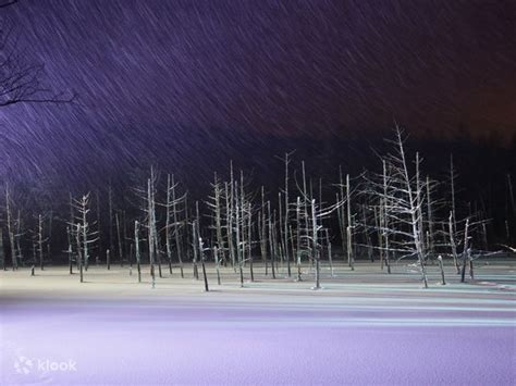 Winter Asahiyama Zoo, Shirohige Waterfall and Light up blue pond "Aoi ...