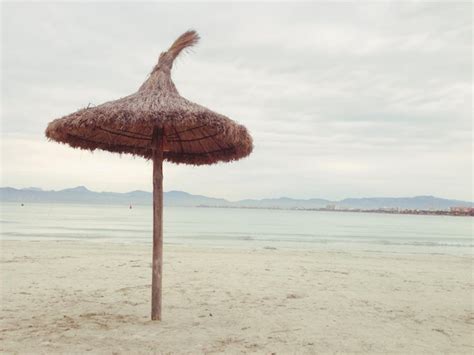 Premium Photo Thatched Roof At Beach Against Sky