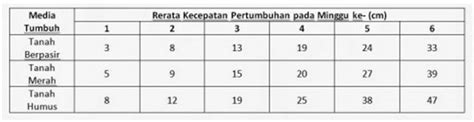 Biji Kacang Panjang Ditanam Di Tiga Media Tumbuh Yang Berbeda Yaitu