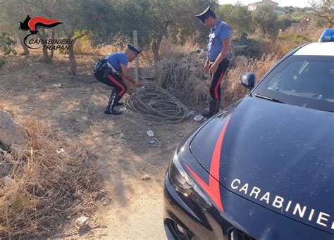 Cavi Rubati Furto Di Bici E Divieto Di Accesso In Centro Denunce A