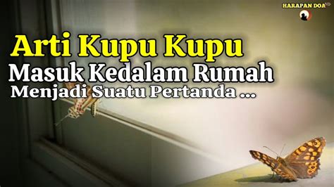 Pertanda Dan Arti Kupu Kupu Masuk Kedalam Rumah Pada Siang Hari Dan