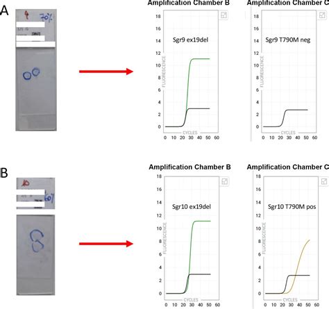 Rapid Egfr Evaluation From Used H E Ihc And Fish Diagnostic Slides