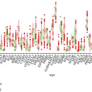 The Autophagy Related Genes Of Differential Expression A Heatmap Of