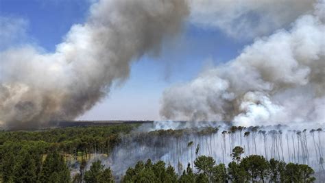 Los Incendios En Brasil Disparan Las Emisiones De Carbono A Cifras Récord Rt