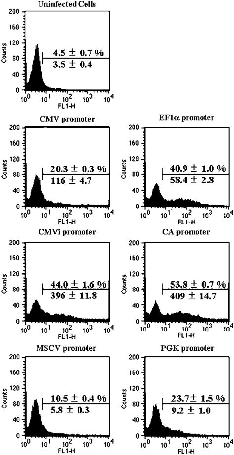 Comparison Of Promoter Activities In Human Bone Marrow Cd34 Cells Download Scientific Diagram