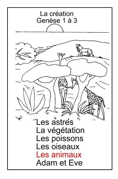 Coloriage Histoire De La Création Biblique Du Christianisme Coloriage