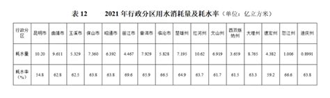 2021年云南省水资源公报云南省水利厅