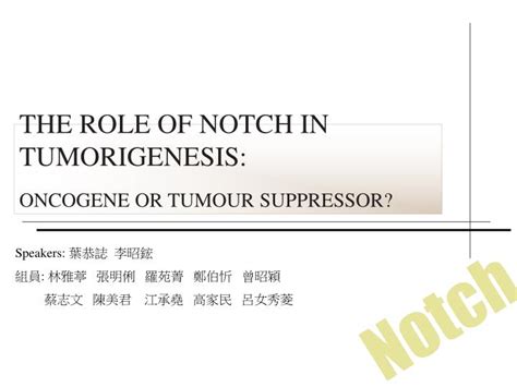 Ppt The Role Of Notch In Tumorigenesis Oncogene Or Tumour Suppressor