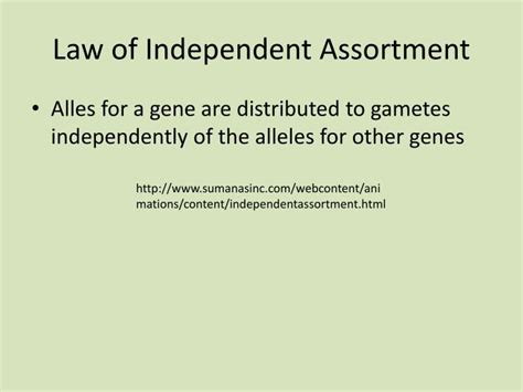 Ppt Law Of Independent Assortment Powerpoint Presentation Free Download Id 6161672