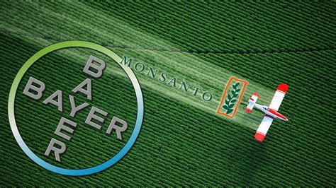 How A Bayer Monsanto Merger Will Wind Up Costing You At The Grocery