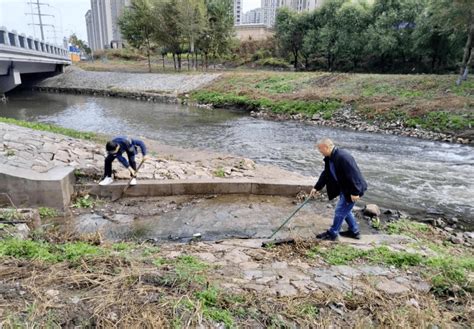 区住建局持续推进南岗区污水整治 全力打赢何家沟碧水保卫战排放进行王岗镇