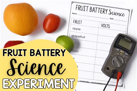 Fruit Battery Science Experiment