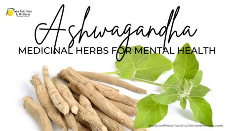 Medicinal Herbs For Mental Health Ashwagandha Sana Nutrition And