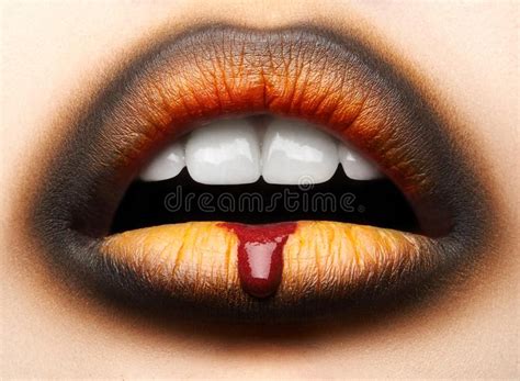 Macro Y Tema Creativo Del Maquillaje Del Primer Labios Femeninos