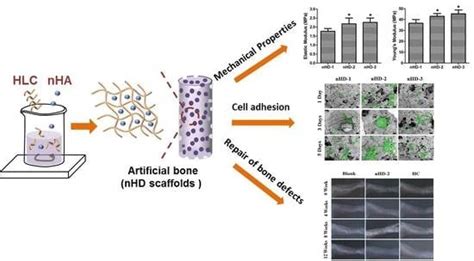 Polymers Free Full Text Fabrication Of High Strength And Porous Hybrid Scaffolds Based On