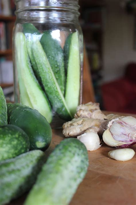 Easy Fermented Cucumbers Homemade Pickles Savory Lotus Artofit